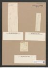 Pleurosigma distortium W.Sm. (de-Toni-Nr.: Genus 13, Species 1094) Zeichnungen Sammlung Grunow Nr. 2131 (NHMW-BOT-W0369168)